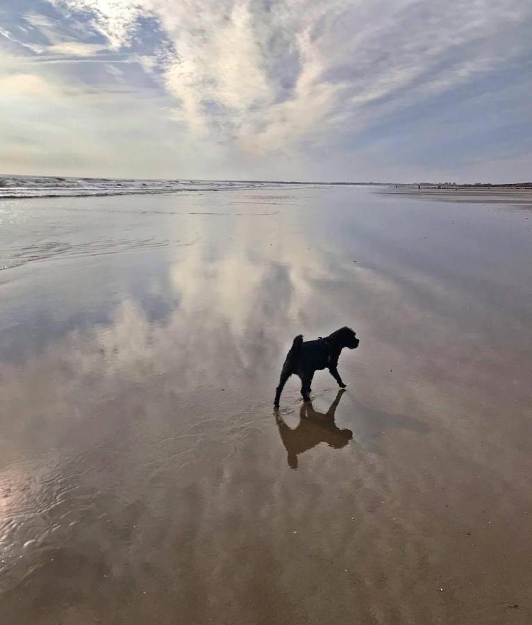 Bridlington'S Bolt Hole Chalet ภายนอก รูปภาพ
