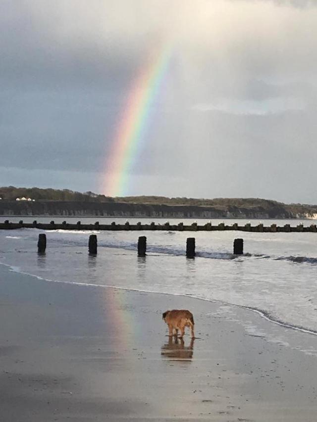 Bridlington'S Bolt Hole Chalet ภายนอก รูปภาพ